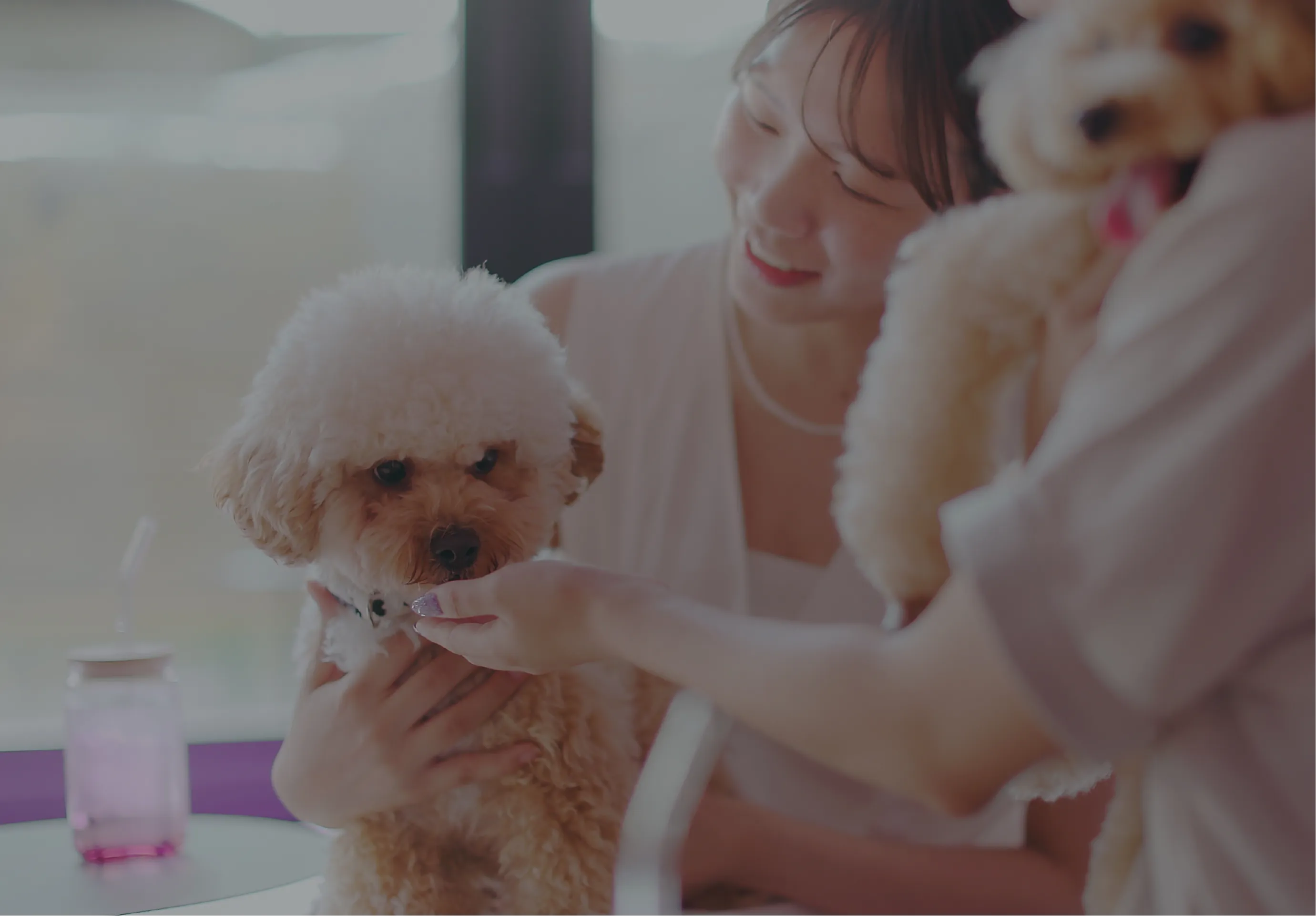 女性が犬を撫でる様子