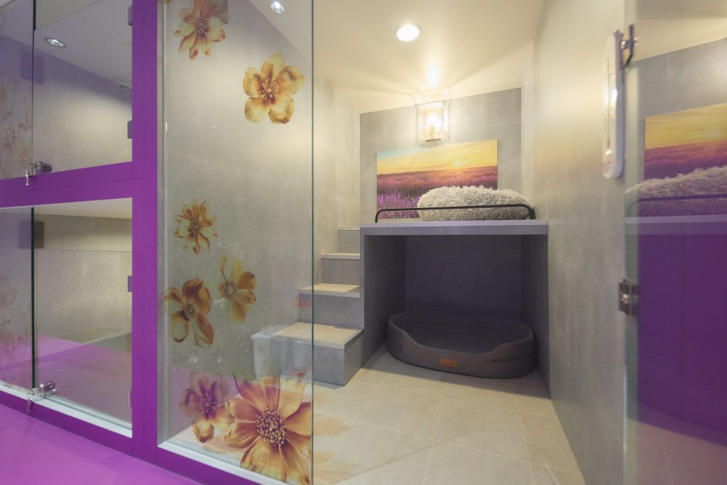 【I.Dog神戸店】ドッグホテルについて