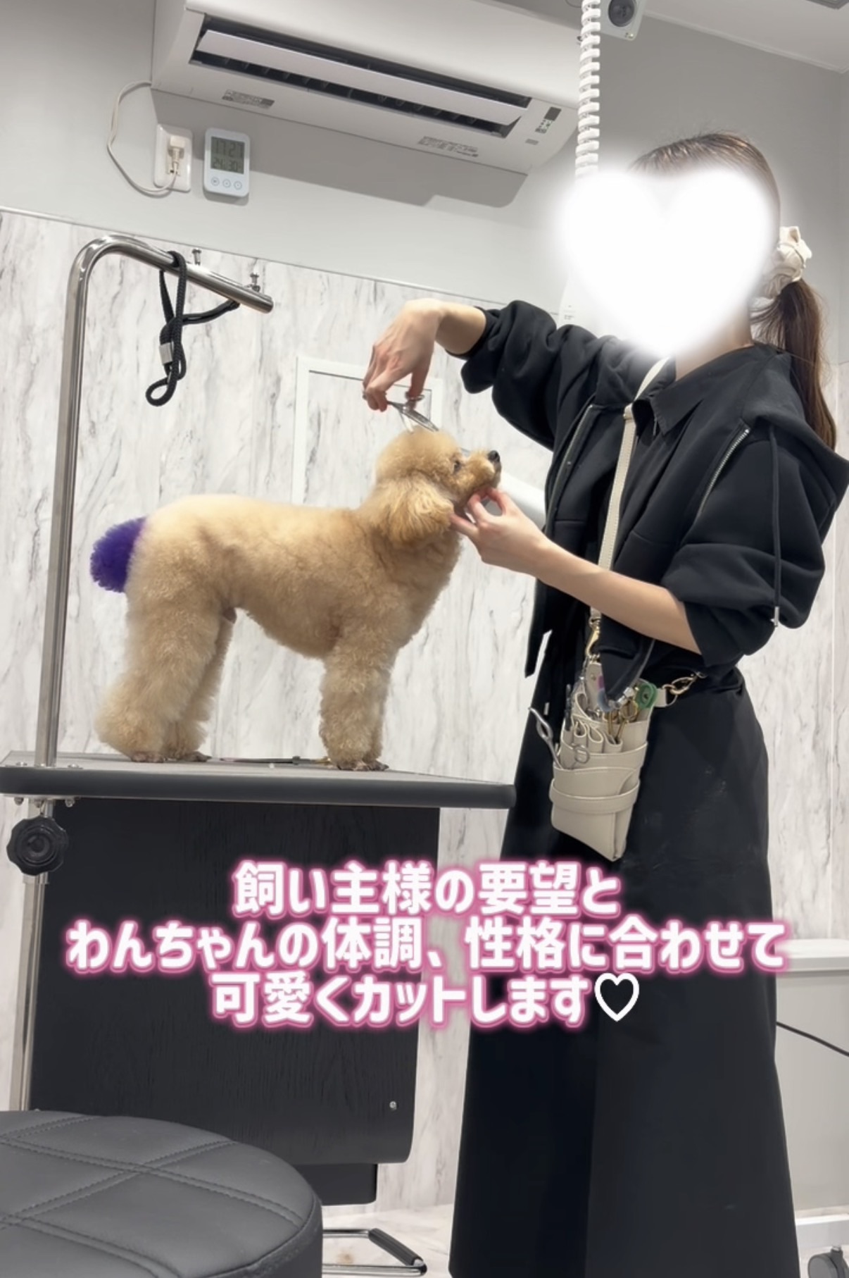 コラムサムネイル画像