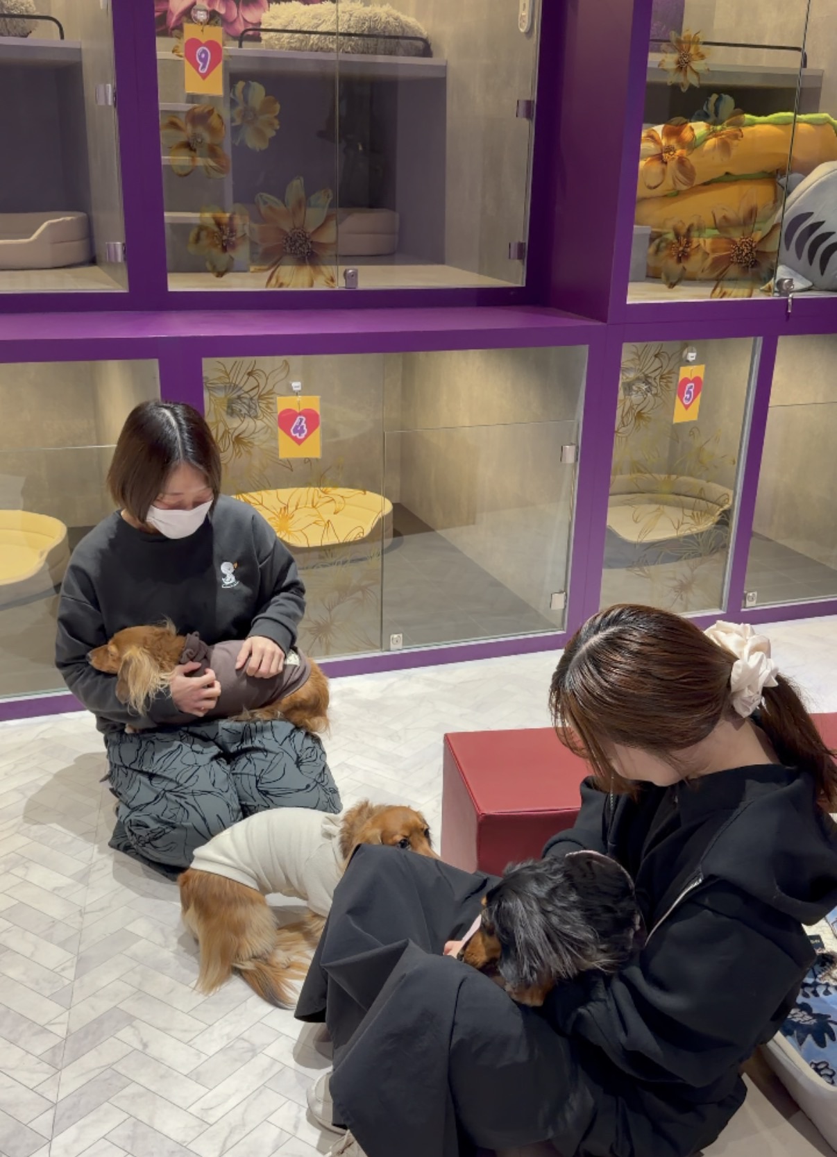 コラムサムネイル画像