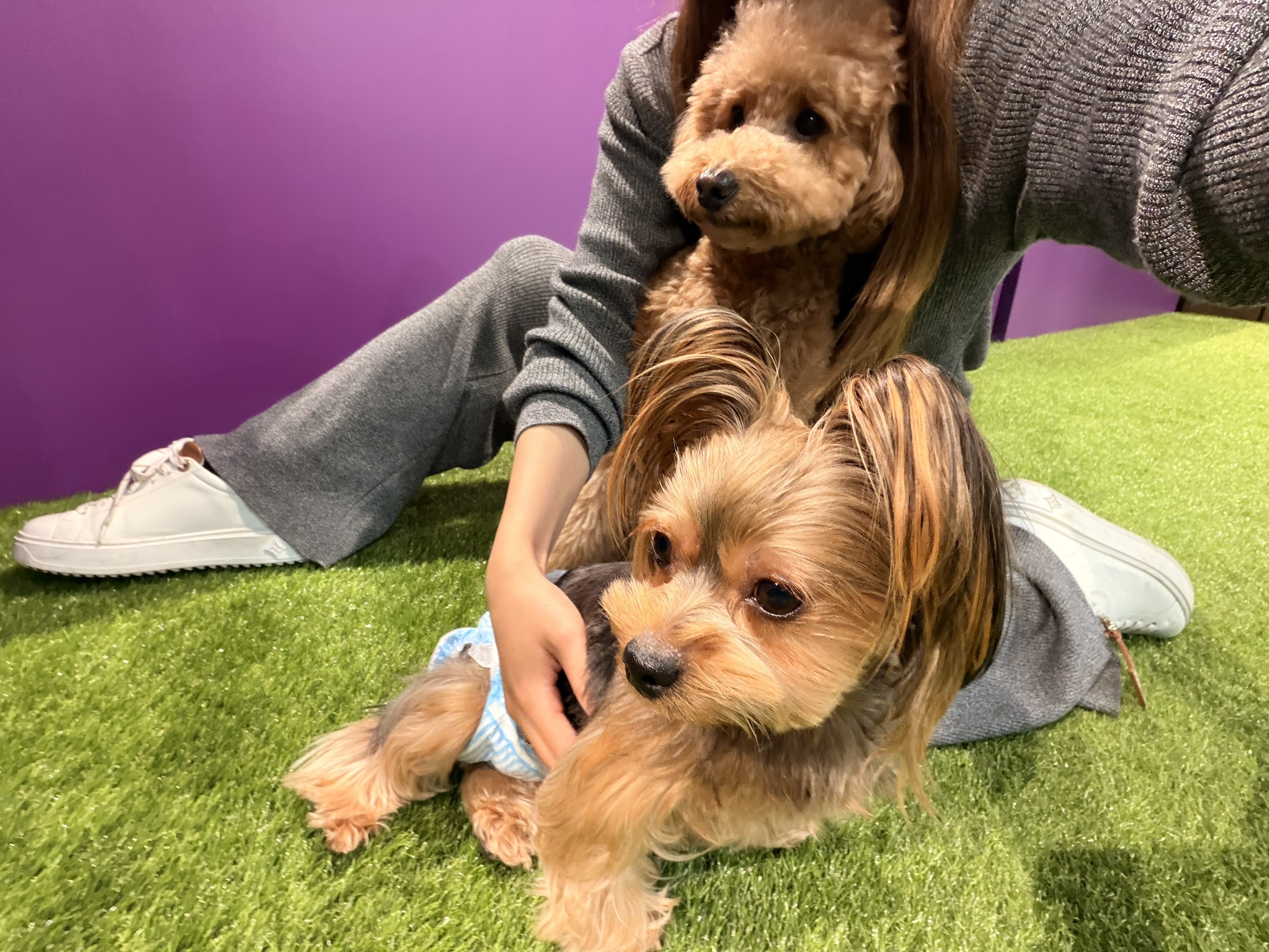 コラムサムネイル画像