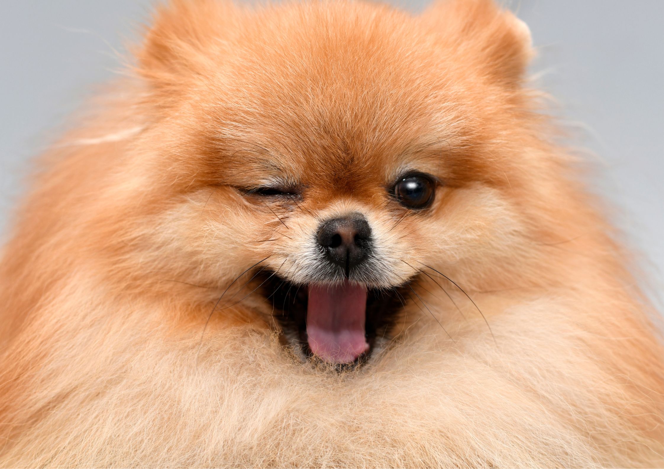 コラムサムネイル画像