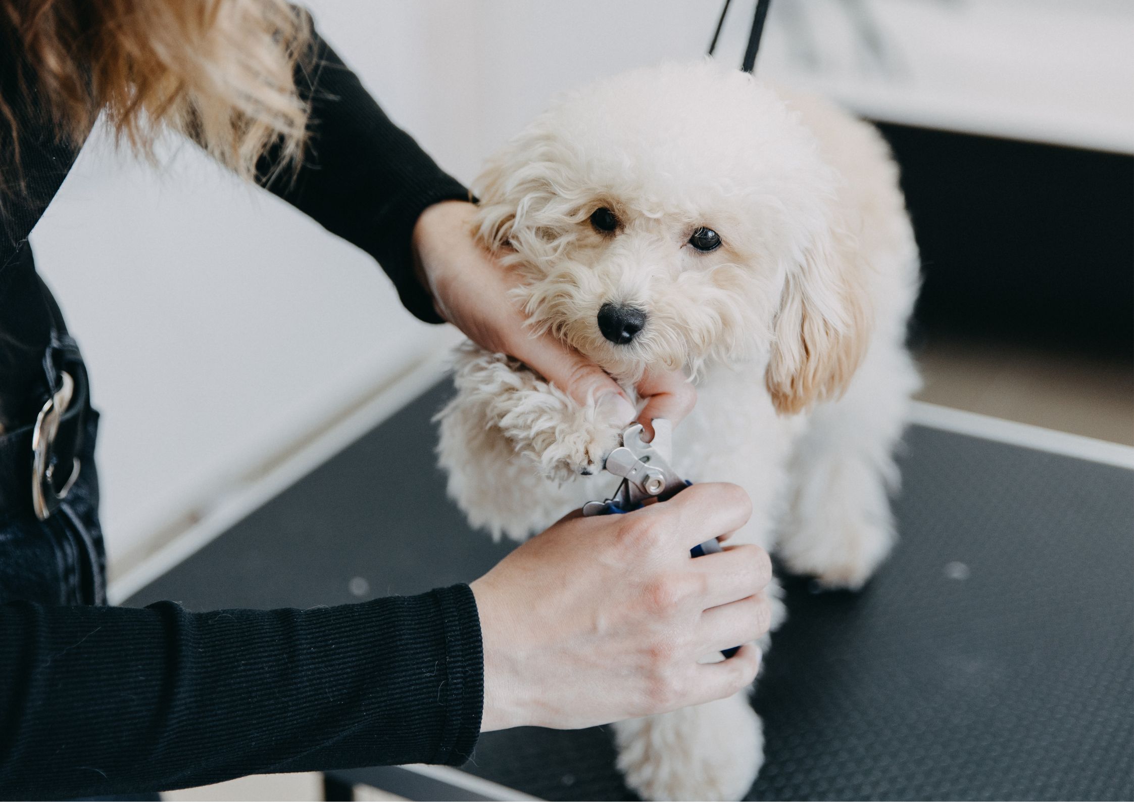 コラムサムネイル画像